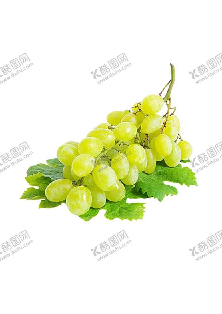 编号：99420605150030557761【酷图网】源文件下载-葡萄