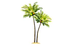 绿色植物