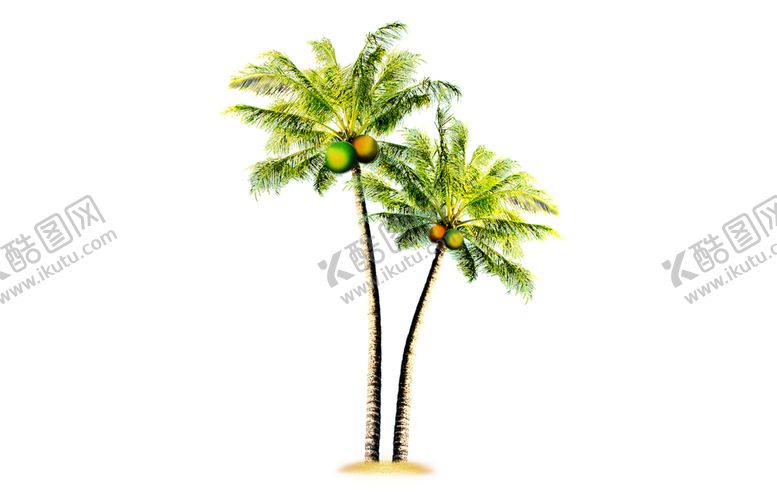 编号：25437109292015586555【酷图网】源文件下载-绿色植物