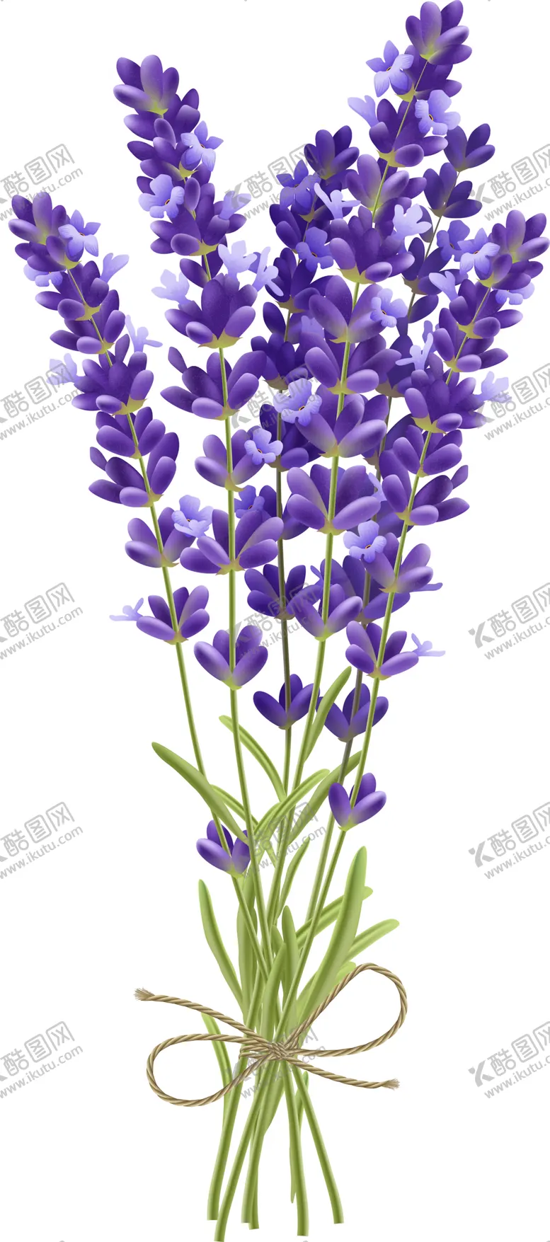 编号：79728701271615293939【酷图网】源文件下载-卡通手绘花卉