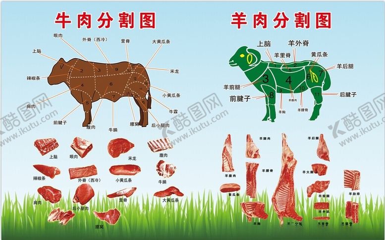 编号：46894001190339506152【酷图网】源文件下载-牛羊肉分割图