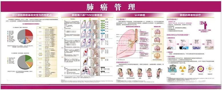 编号：39165002101250359303【酷图网】源文件下载-肺癌展板