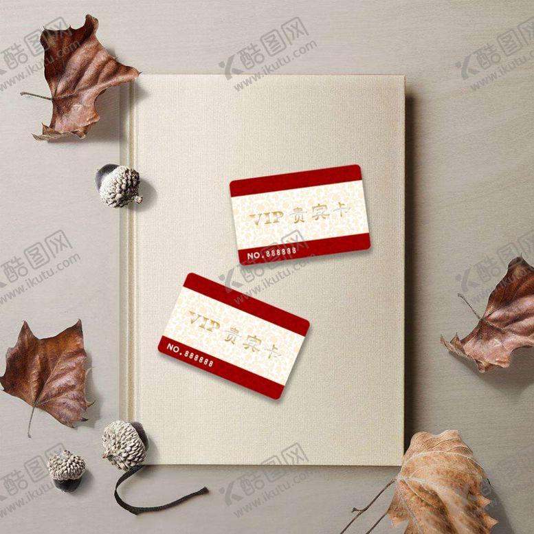 编号：33122809180015406485【酷图网】源文件下载-贵宾vip卡样机