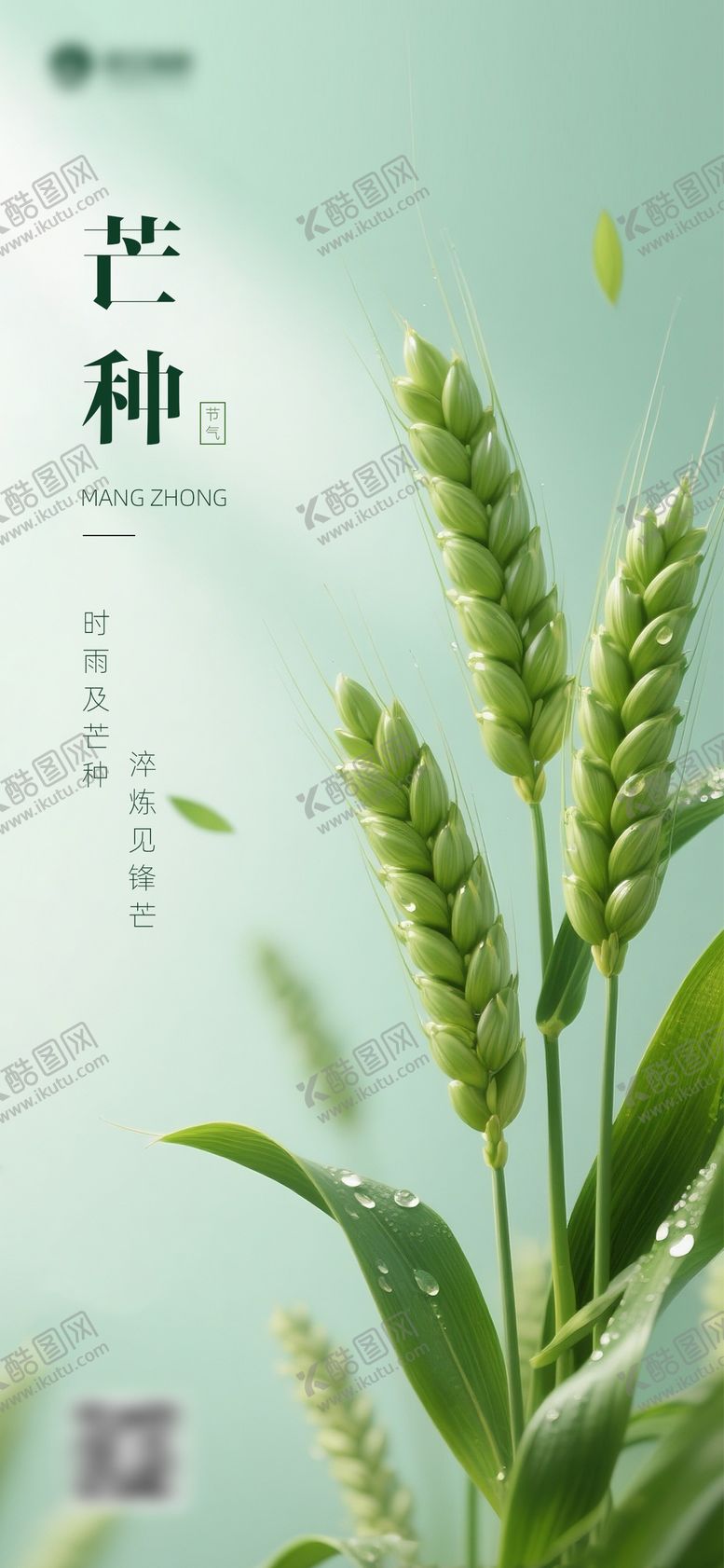 编号：29197406151650016234【酷图网】源文件下载-芒种节气主题海报