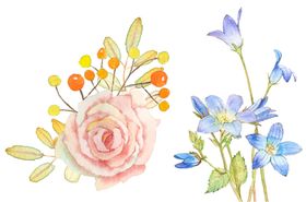 彩绘花卉