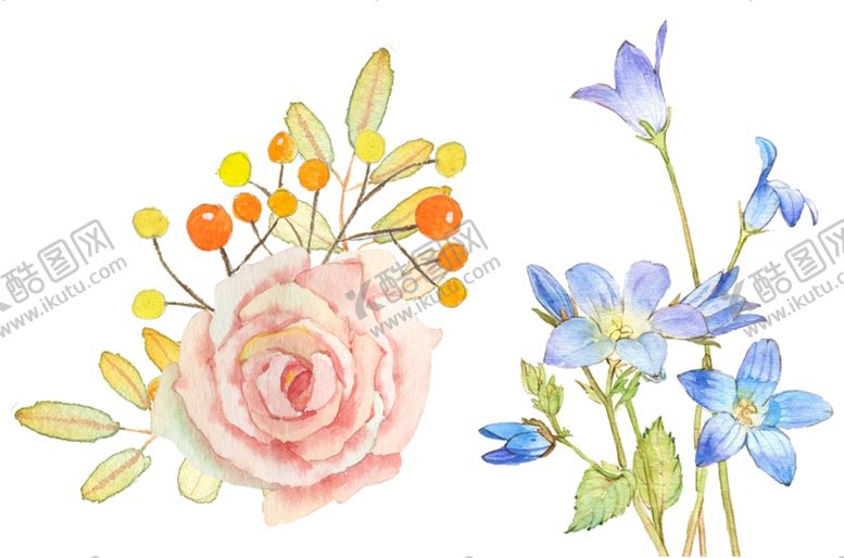 编号：77914406181431323520【酷图网】源文件下载-彩绘花卉