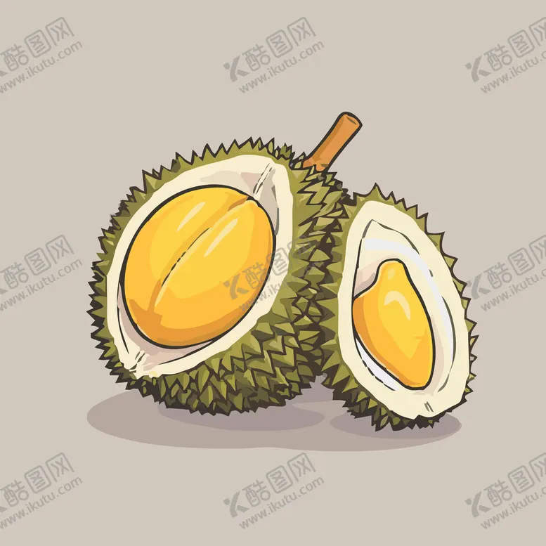 编号：29426902040312329650【酷图网】源文件下载-榴莲热带水果手绘矢量插画
