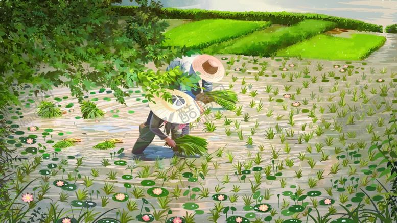编号：10945109290028583982【酷图网】源文件下载-插秧