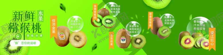 编号：11062004190449246907【酷图网】源文件下载-猕猴桃