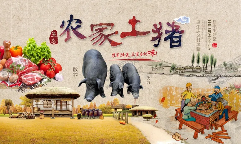 编号：80136212080935069048【酷图网】源文件下载-农家土猪招牌广告
