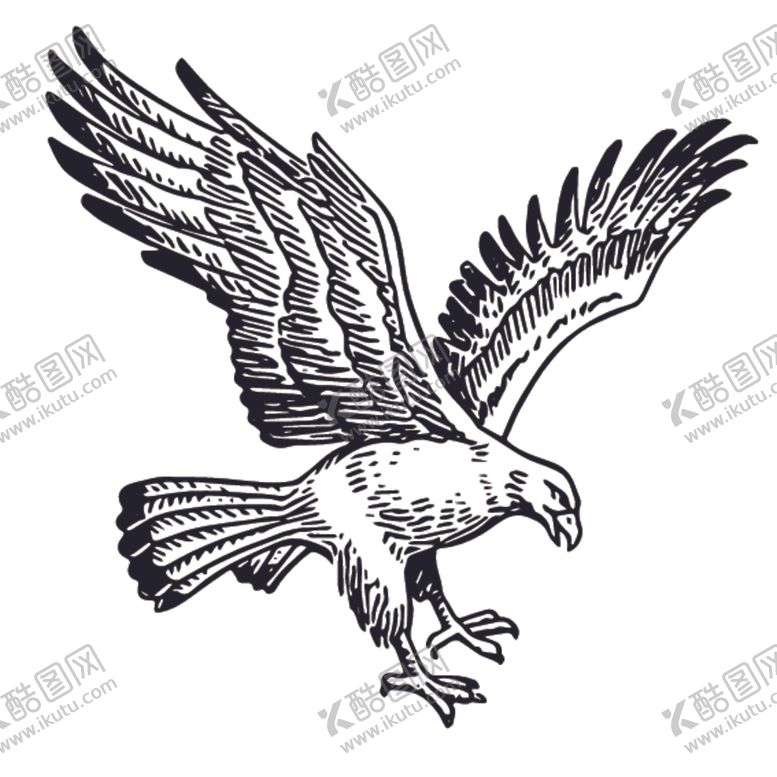 编号：94817709242358499600【酷图网】源文件下载-飞鸟线稿绘画图案