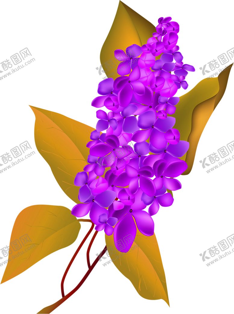 编号：77477706251249181371【酷图网】源文件下载-鲜花素材