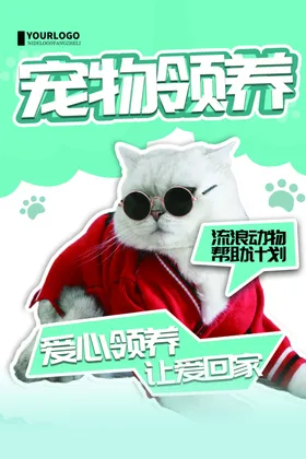 宠物美容海报