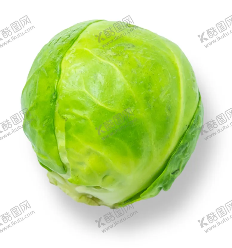 编号：28606304080537095681【酷图网】源文件下载-包菜