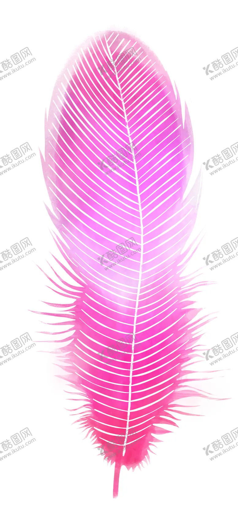 编号：81805002130100128884【酷图网】源文件下载-羽毛 素材