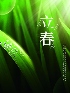 立春微信手机海报宣传单