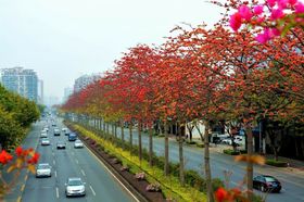 花道邀请函海报