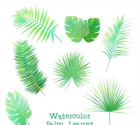 绿色热带植物叶子矢量素材