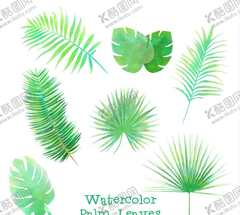 编号：58739610301233516462【酷图网】源文件下载-绿色热带植物叶子矢量素材