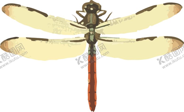 编号：86908409242114075082【酷图网】源文件下载-蜻蜓昆虫插画