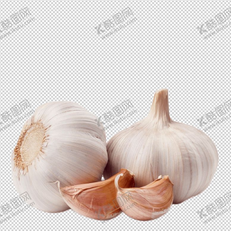 编号：42050906250959395375【酷图网】源文件下载-蒜