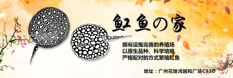 编号：23971912261043589466【酷图网】源文件下载-水族观赏鱼海报banner