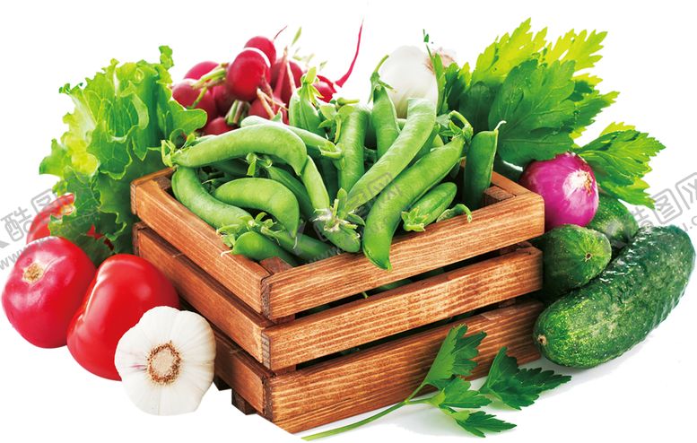 编号：62419609270245108099【酷图网】源文件下载-水果