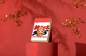 样机效果展示新年包装新年贴图