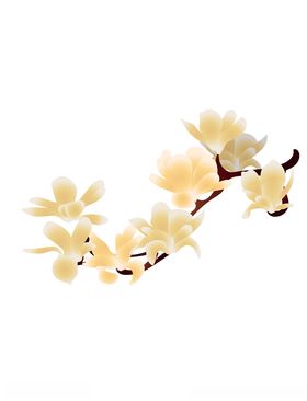 矢量玉兰花