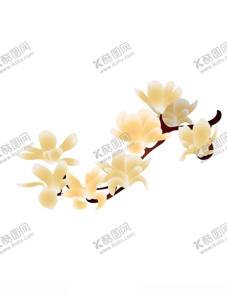 编号：71543206171814205382【酷图网】源文件下载-矢量玉兰花