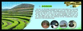 茶叶宣传栏