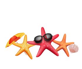 海星