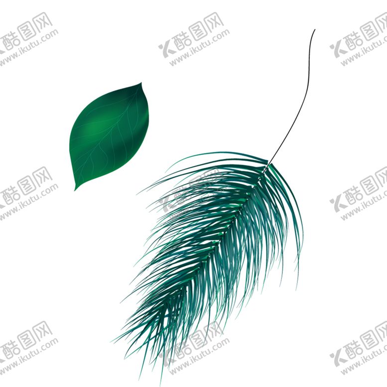 编号：29506410180021206496【酷图网】源文件下载-羽毛