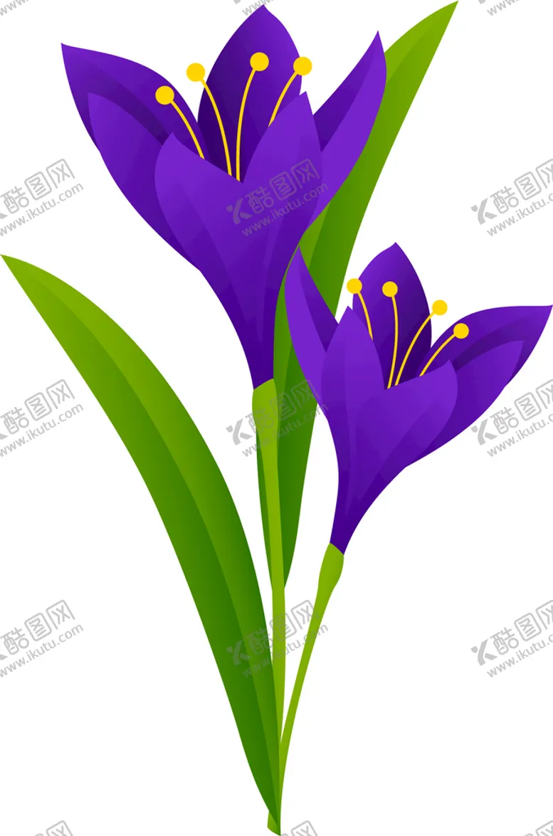 编号：52596702040854121707【酷图网】源文件下载-写实花卉