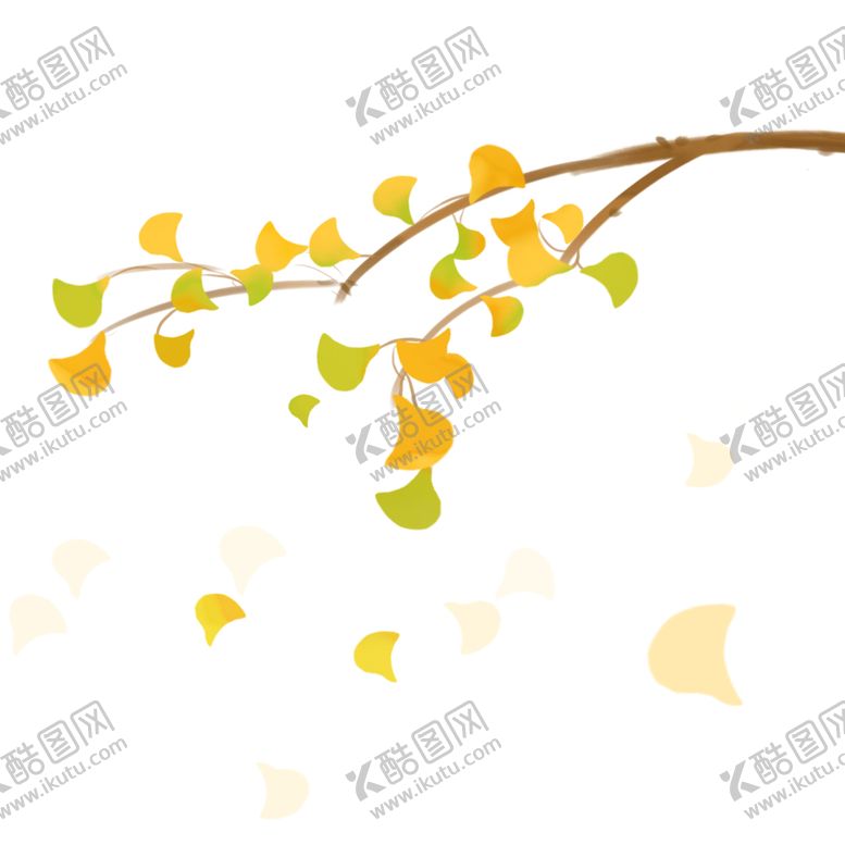 编号：73848707130320362497【酷图网】源文件下载-秋天银杏叶