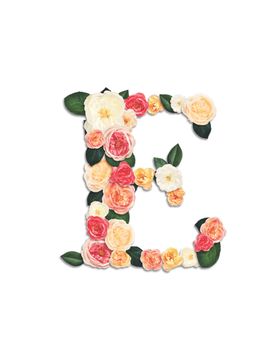 花卉植物英文字母元素