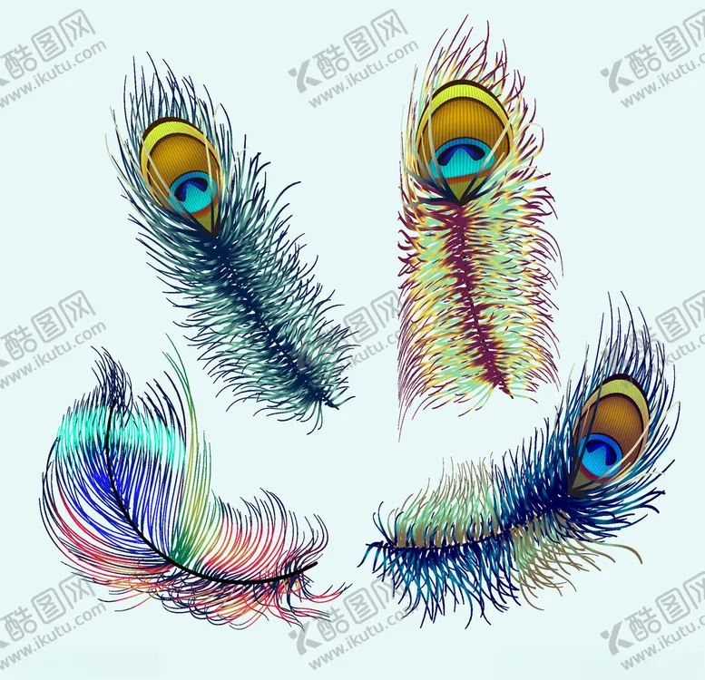 编号：35548006290939548298【酷图网】源文件下载-孔雀羽毛矢量素材