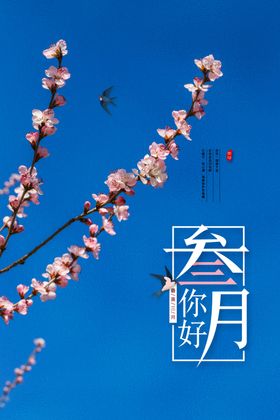 三月你好