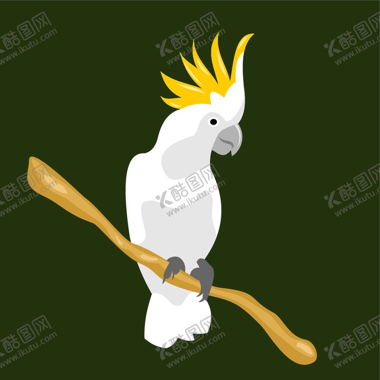 编号：21831810221054259734【酷图网】源文件下载-鹦鹉