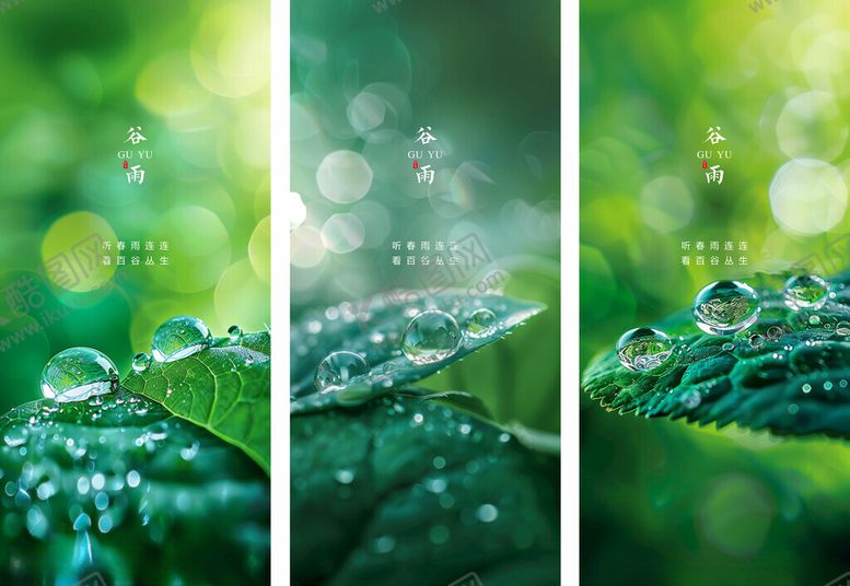 编号：28861405130924337209【酷图网】源文件下载-节气谷雨
