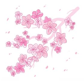 樱花