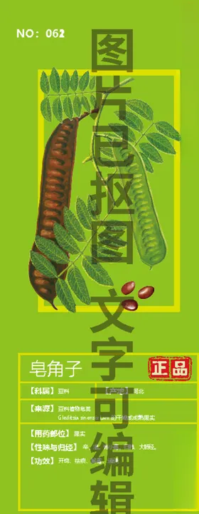 皂角子