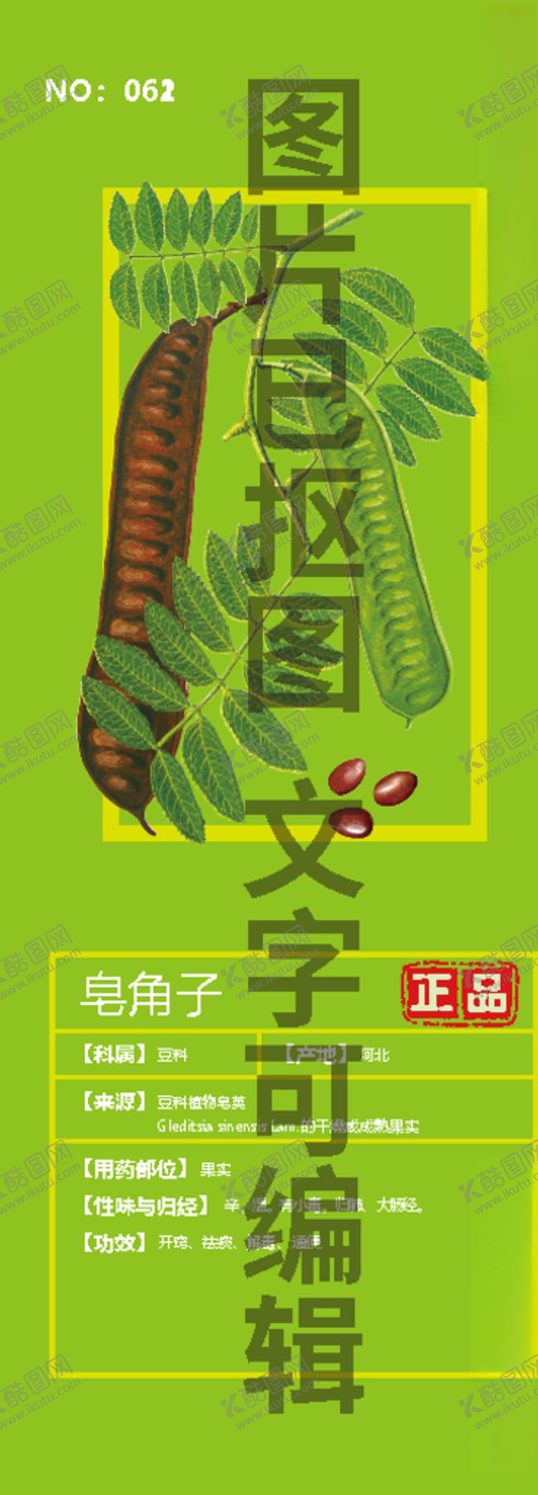 编号：73266306251741104357【酷图网】源文件下载-皂角子