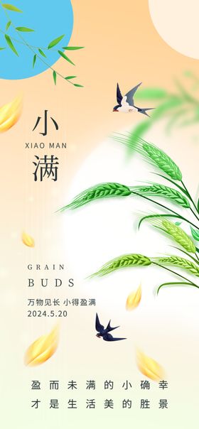 小满插画夏日清新氛围