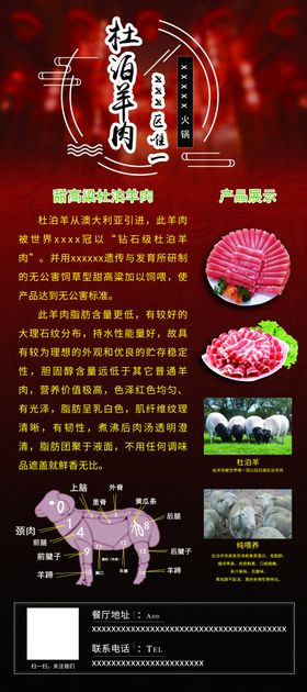 杜泊羊肉简介展架易拉宝