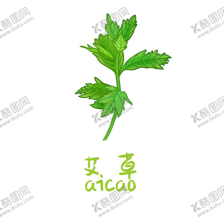 编号：30857904171400193151【酷图网】源文件下载-草本植物药材