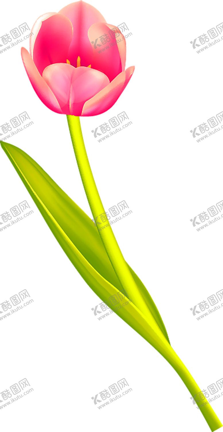 编号：56456506271642342849【酷图网】源文件下载-花素材