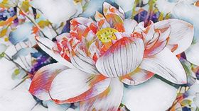 粉色中式荷花绘画