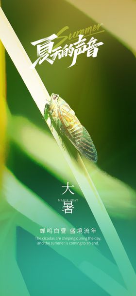 大暑