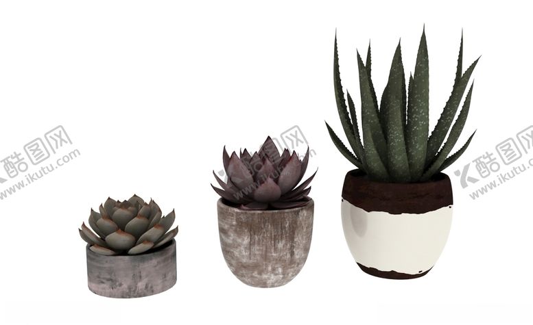 编号：36369910062000389727【酷图网】源文件下载-多肉植物3d模型